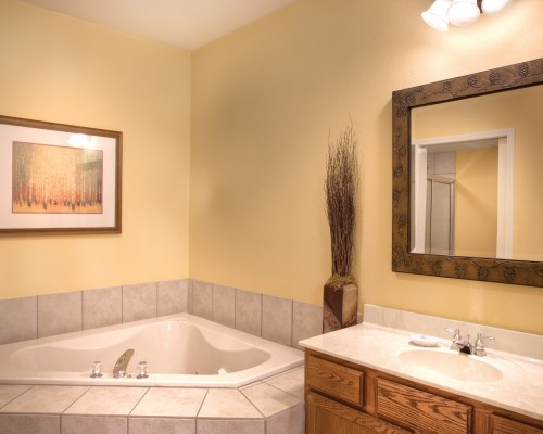 A HOT TUB WITH A SINGLE SINK VANITY.