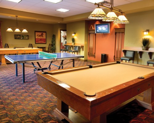 AN OUTDOOR RECREATIONAL POOL TABLE AND TABLE TENNIS.