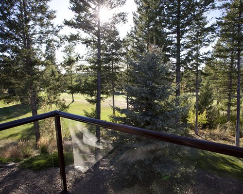 A balcony view of wooded area.