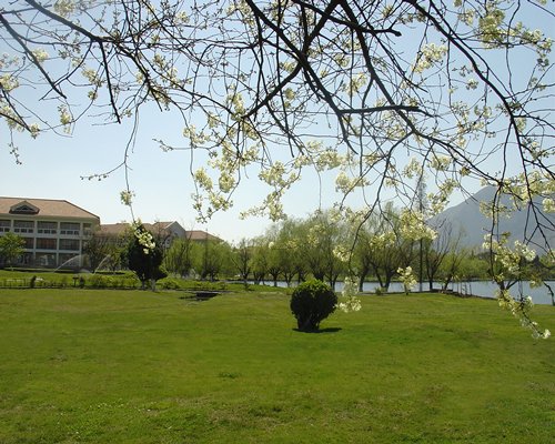 A manicured lawn alongside the resort.