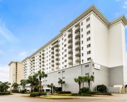 Image Description to Come