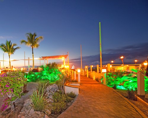 Night view of a paved pathway with flowering shrubs.