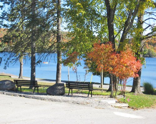 GEOHoliday at Haliburton Heights