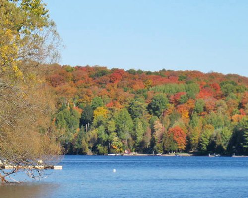 View of wooded area alongside the beach at fall.