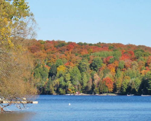 GEOHoliday at Haliburton Heights