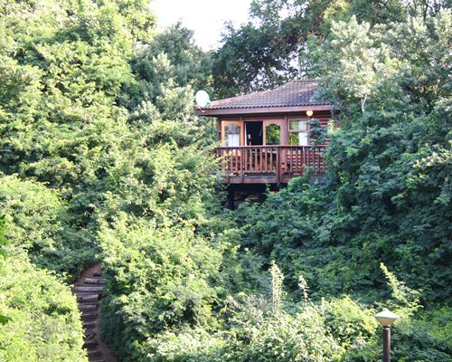 Mtunzini Forest Lodge Image