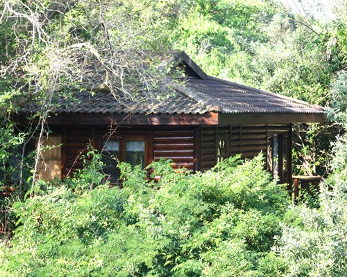 Exterior view of a unit at wooded area.