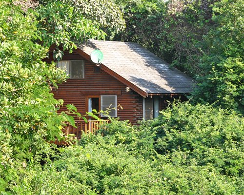 An exterior view of resort unit surrounded by trees.