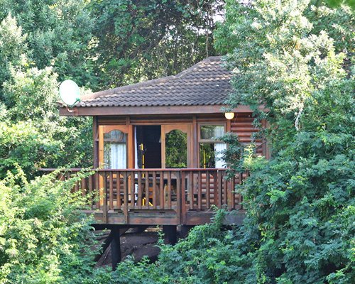 An exterior view of resort unit surrounded by trees.