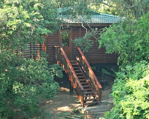 Exterior view of resort unit with staircase surrounded by wooded area.