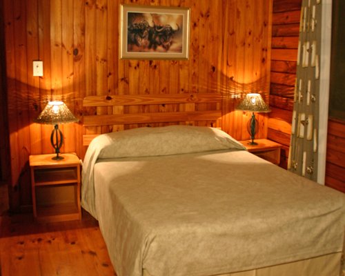 A wood themed bedroom with two lamps.