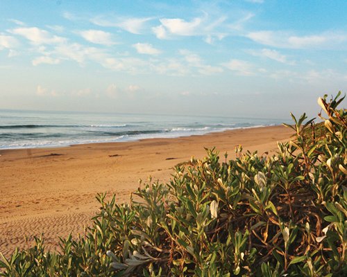 Scenic view of the beach.