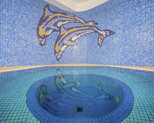 Paradise Kings Club *Rental*