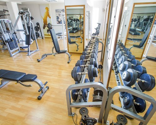 Paradise Kings Club *Rental*