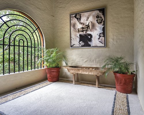 A room with paintings potted plants and an outside view.