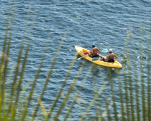 View of two people kayaking on the water.
