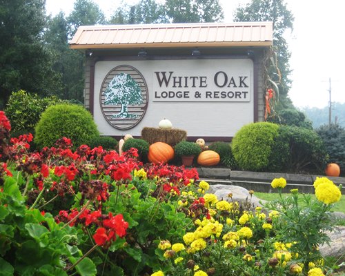 White Oak Lodge and Resort