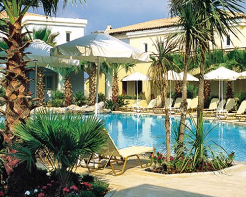 Outdoor swimming pool with chaise lounge chairs. sunshades and palm trees.