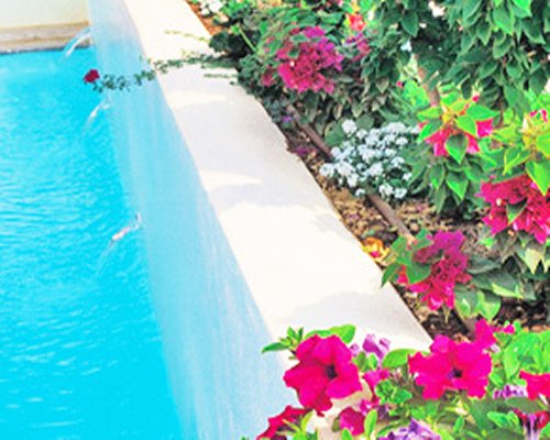 A view of an outdoor pool alongside flowers.