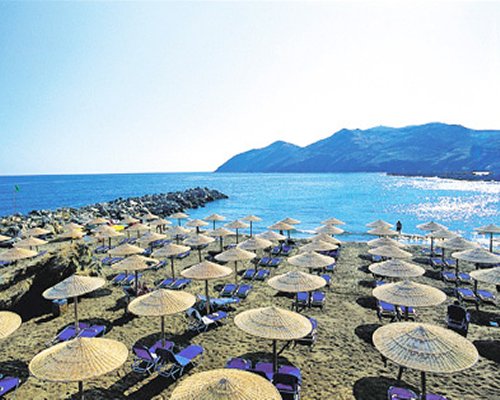 A view of thatched sunshades and chaise lounge chairs alongside the beach.