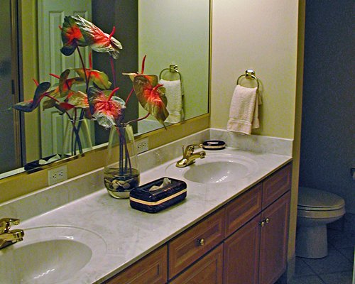 A bathroom with a toilet and double sink vanity.