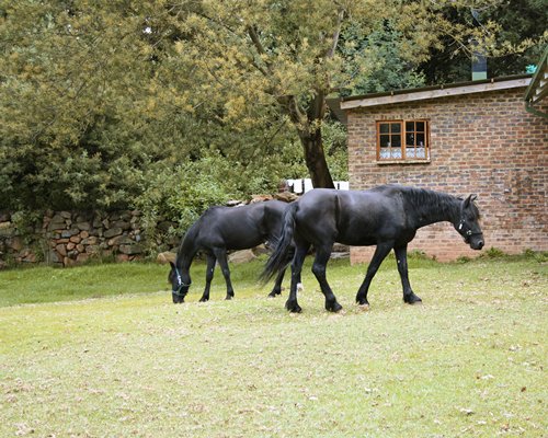 Dunkeld Country Estate