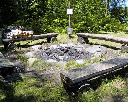 An outdoor campfire area surrounded by trees.