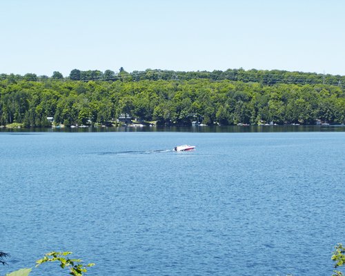 A lake alongside a wooded area.
