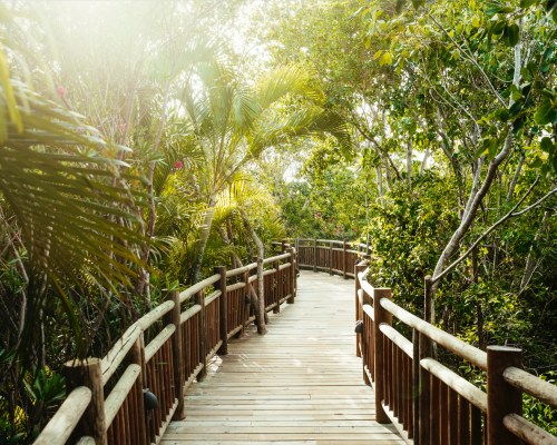 Mayan Palace at Vidanta Riviera Maya