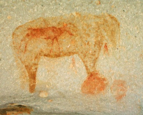 Kagga Kamma