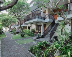 Image Description to Come