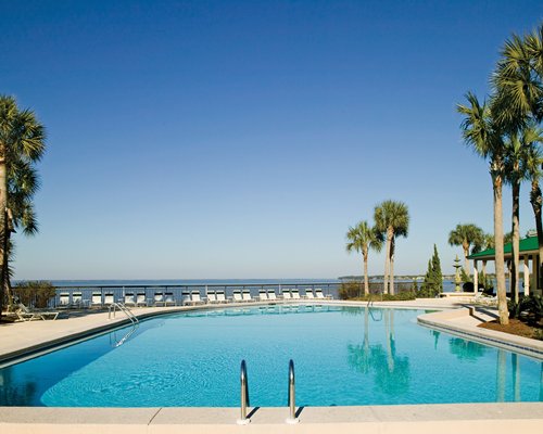 Large outdoor swimming pool with chaise lounge chairs and palm trees alongside the beach.