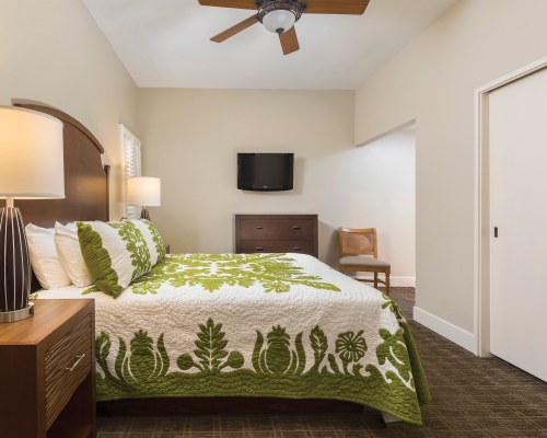 A WELL FURNISHED BEDROOM WITH TELEVISION.