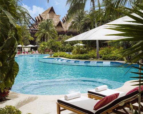 View of chaise lounge chairs and coconut trees surrounded by the pool.