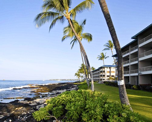 Raintree at Kona Reef Hawaii Image