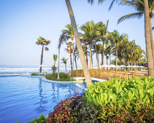 Large outdoor swimming pool with a bridge chaise lounge chairs sunshades and palm trees alongside the ocean.