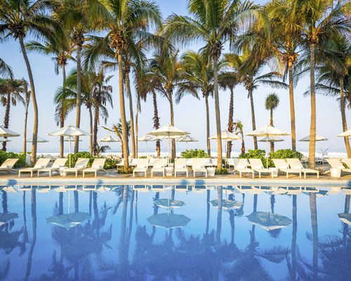 An outdoor pool with chaise lounge chairs sunshades and coconut trees.