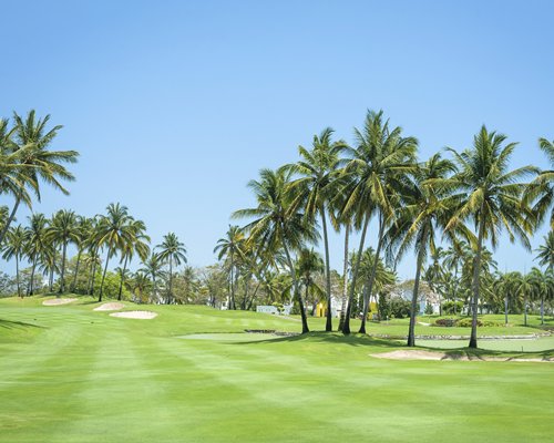 A well maintained golf course surrounded by trees.