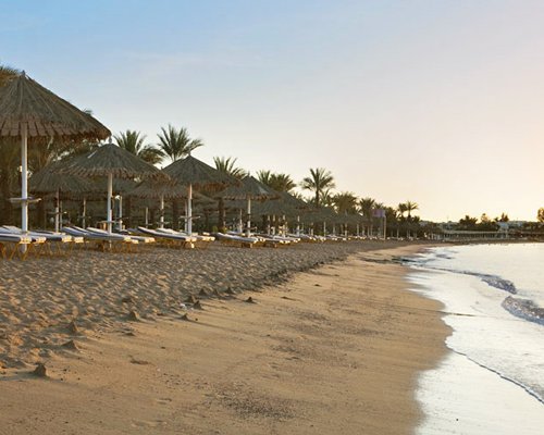 Sharm Dreams Vacation Club