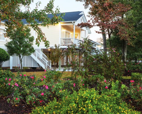AN EXTERIOR VIEW WITH TREES AND LANDSCAPING.