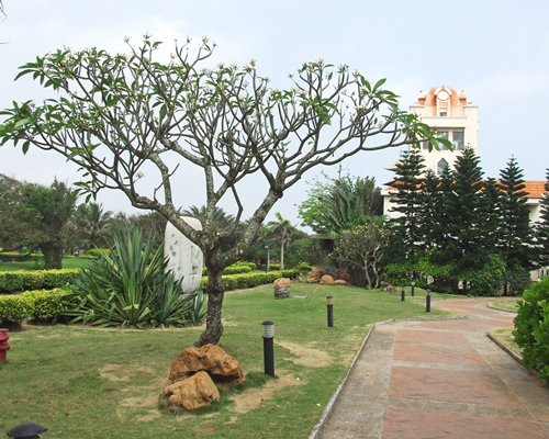A scenic pathway.