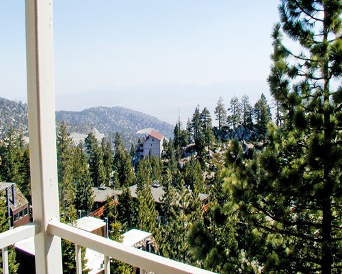 A balcony view of the pine trees and the mountains.