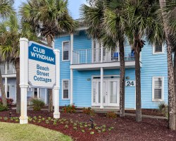 Image Description to Come