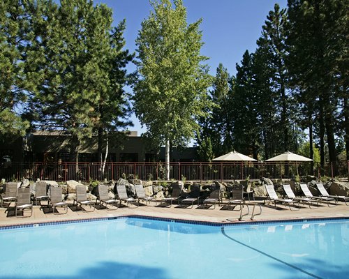 An outdoor swimming pool with chaise lounge chairs and trees.