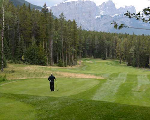 A man playing golf on the golf course surrounded by wooded area.