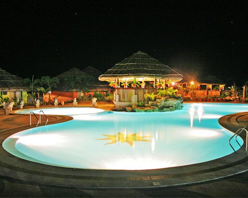 Large outdoor swimming pool with a thatched covered bar.