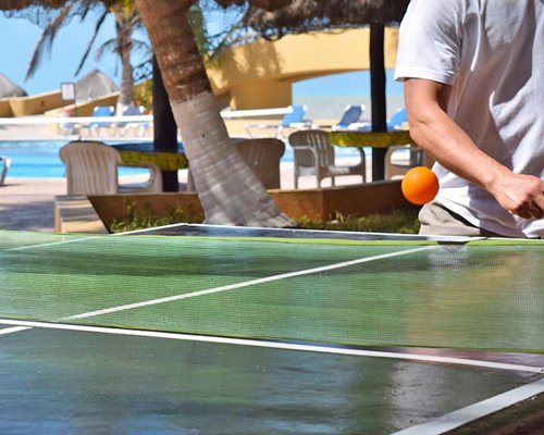 View of miniature golf with coconut trees.