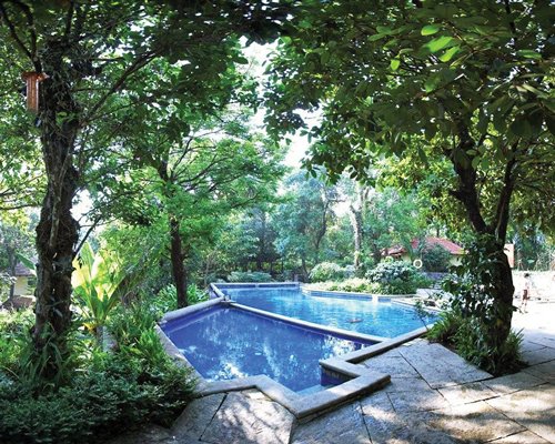 An outdoor swimming pool surrounded by trees.