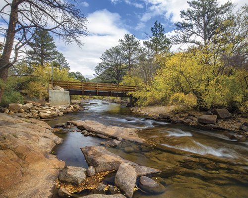 A bridge surrounded by a wooded area.