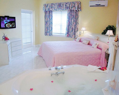 A well furnished bedroom with bathtub television and outside view.